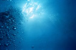 Clear blue waters at 25 m depth !!!
Using MX-5II camera ... by Arno Dekker 